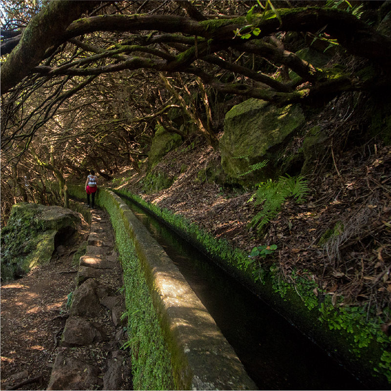Levada Walk