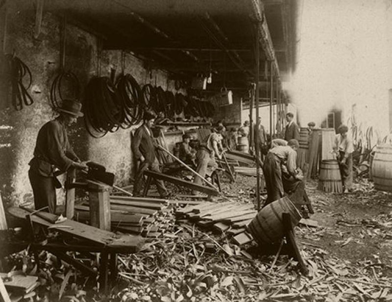 MADEIRA WINE COMPANY