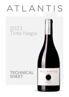 Atlantis Tinto 2023