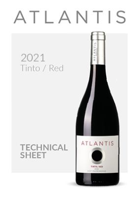 Atlantis Tinto  2021 technical Sheet